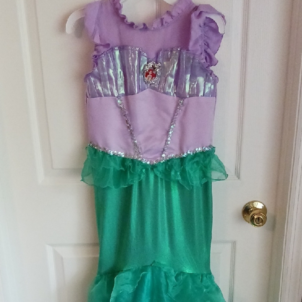 Disney Sea Princess Costume - Purple and Green